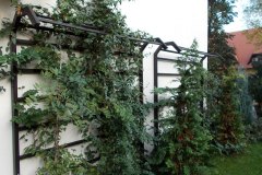 exterior_railings_villa2_02