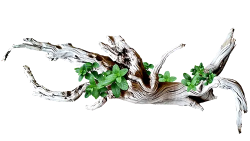 Jordas Design - Lemn modelat cu măiestrie - servicii premium de tâmplărie, amenajări interioare/exterioare, mobilier personalizat și restaurări lemn. Artizanat de calitate, soluții unice pentru fiecare proiect - Servicii Jordas